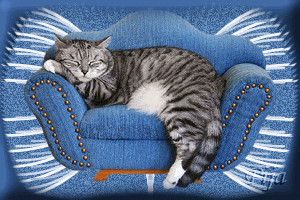 Pour cette fin de semaine